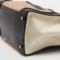 Pre Owned Celine Multicolor Nubuck Leather Mini Luggage Tote