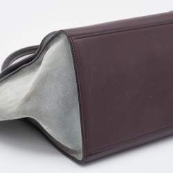 Pre Owned Celine Multicolor Leather and Suede Medium Trapeze Top Handle Bag