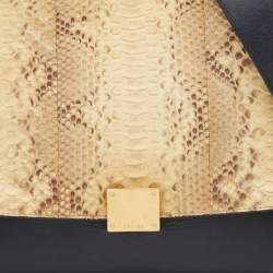 Pre Owned Celine Multicolor Python, Leather & Suede Medium Trapeze Top Handle Bag