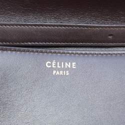 مملوكة مسبقًا Celine Dark Brown Lizard and Leather Medium Classic Box Bag
