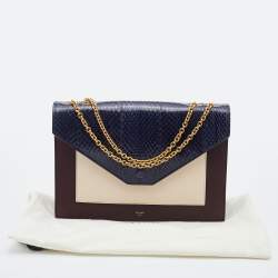 Pre Owned Celine Multicolor Leather and Watersnake Leather Pocket Envelope Shoulder Bag