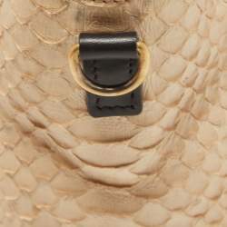 Celine Black/Beige Python and Leather Nano Luggage Tote