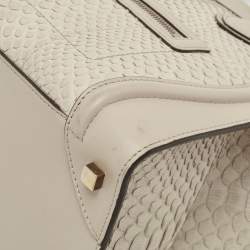 Pre Owned Celine Grey Python and Leather Mini Luggage Tote 