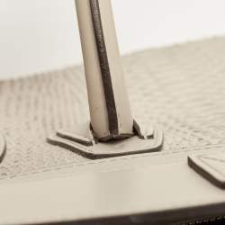 Pre Owned Celine Grey Python and Leather Mini Luggage Tote 