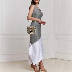 Pre Owned Celine Cream/Black Watersnake Small Trotteur Crossbody Bag