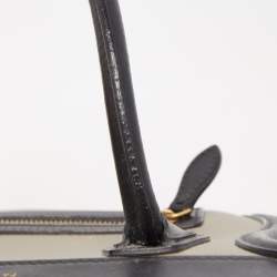 مملوكة مسبقًا Celine Tri Color Leather Nano Luggage Tote
