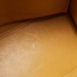 Pre Owned حقيبة يد سيلين ترابيز متوسطة جلد وجلد ثعبان ثلاثى اللون 