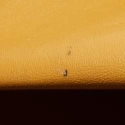 Pre Owned حقيبة يد سيلين ترابيز متوسطة جلد وجلد ثعبان ثلاثى اللون 