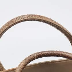 Pre Owned Celine Grey Python Medium Phantom Luggage Tote
