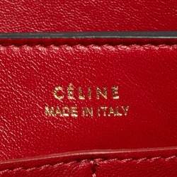 Celine Multicolor Python Clutch On Chain