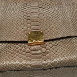 مملوكة مسبقًا Celine Grey/Burgundy Python and Suede Medium Trapeze Bag