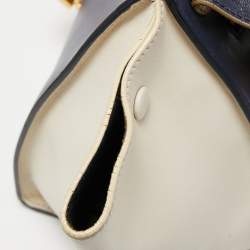 Celine Tri Color Python and Leather Medium Trapeze Top Handle Bag