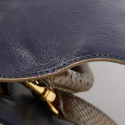 Celine Tri Color Python and Leather Medium Trapeze Top Handle Bag