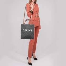 Pre Owned Celine Brown Triomphe Canvas and Leather Small Vertical Cabas Tote 