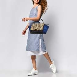 Pre Owned Celine Multicolor Snakeskin And Suede Small Trapeze Bag