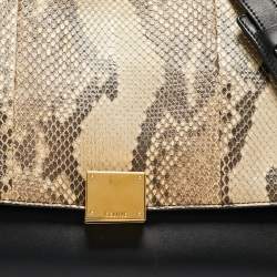 Pre Owned Celine Multicolor Snakeskin And Suede Small Trapeze Bag