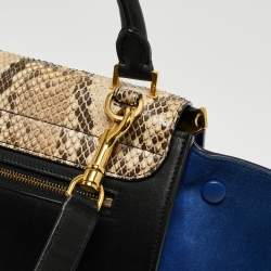 Pre Owned Celine Multicolor Snakeskin And Suede Small Trapeze Bag