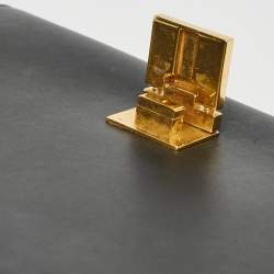 Pre Owned Celine Multicolor Snakeskin And Suede Small Trapeze Bag