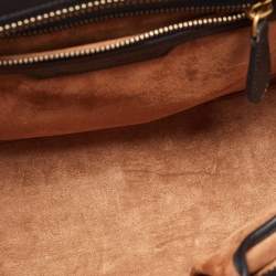 مملوكة مسبقًا Celine Multicolor Leather Micro Luggage Tote