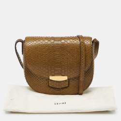 Celine Olive Green Python Small Trotteur Crossbody Bag