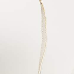 Pre Owned Celine White Leather Night Out Ankle Tie Pumps Size 38