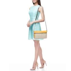 مملوكة مسبقًا حقيبة كروس سي إتش كارولينا هيريرا جلد وكانفاس مقوى مونوغرامي متعدد الألوان بسحاب