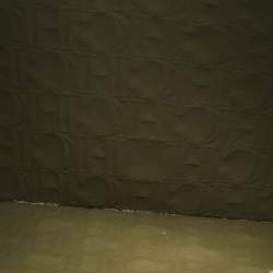 Pre Owned CH Carolina Herrera Khaki Monogram Leather Editors Continental Pouch