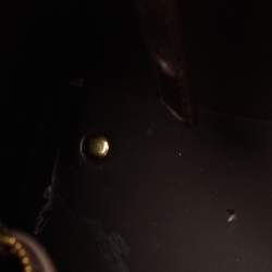 Pre Owned حقيبة يد كارولينا هيريرا قفل ماترايوشكا جلد وكانفاس مقوى مونوغرامى وردية / بيج 