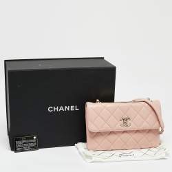 Pre Owned Chanel Pink Quilted Leather Medium Trendy CC Flap Bag
