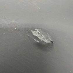 Pre Owned Chanel Cc Logo Large Scarf Black/White/Pink  