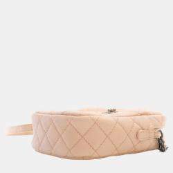 Chanel Pink Quilted Grained Leather Vertical Reissue Camera Shoulder Bags