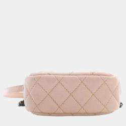 Chanel Pink Quilted Grained Leather Vertical Reissue Camera Shoulder Bags