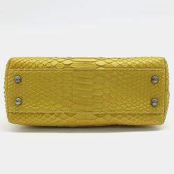 Pre Owned Chanel Python Coco Handle 23 Bag