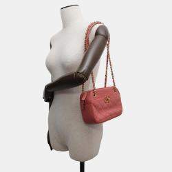 Chanel Pink Lambskin Leather Camera Shoulder Bag