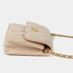 Chanel Waist Mini Golden Ball Shoulder \Bag