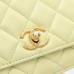 Chanel Quilted CC Turnlock Wallet On Chain Bag