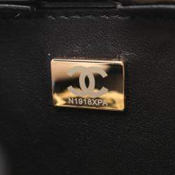 Chanel Leather Perfume Box No.5 Coco Mark Chain Crossbody Shoulder Bag