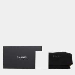 Chanel Coco Punk Mini Iridescent Wallet On Chain