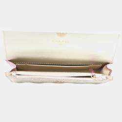 Chanel Coco Punk Mini Iridescent Wallet On Chain