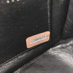 Pre Owned Chanel Black Calfskin Camera Bag Mini