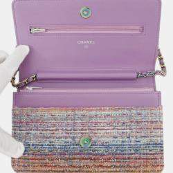 Pre Owned Chanel Multicolor CC Quilted Tweed Rainbow Hardware Wallet on Chain