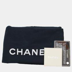 Pre Owned Chanel Brown Metallic Python Leather Taj Mahal Drawstring Bag