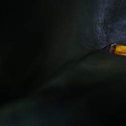 مملوكة مسبقًا Chanel Jumbo Caviar Classic Double Flap Bag