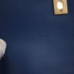 Pre Owned حقيبة شانيل صغيرة جلد عجل مبطن زرقاء كل يوم أنيقة غطاء