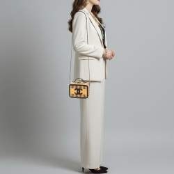 مملوكة مسبقًا حقيبة كتف شانيل CC فانتي صغيرة بيج/أسود راتان وبرنيق جلدية