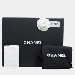 Pre Owned Chanel Small Pink Leather Puffy Flap Bag GHW