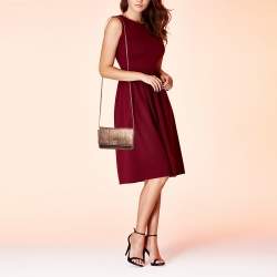 Chanel Metallic Brown Python and Leather WOC Bag