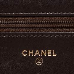 Chanel Metallic Brown Python and Leather WOC Bag