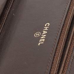Chanel Metallic Brown Python and Leather WOC Bag