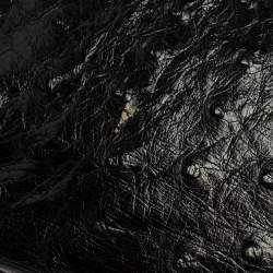 مملوكة مسبقًا Chanel Black Ostrich Vintage Chain Bag